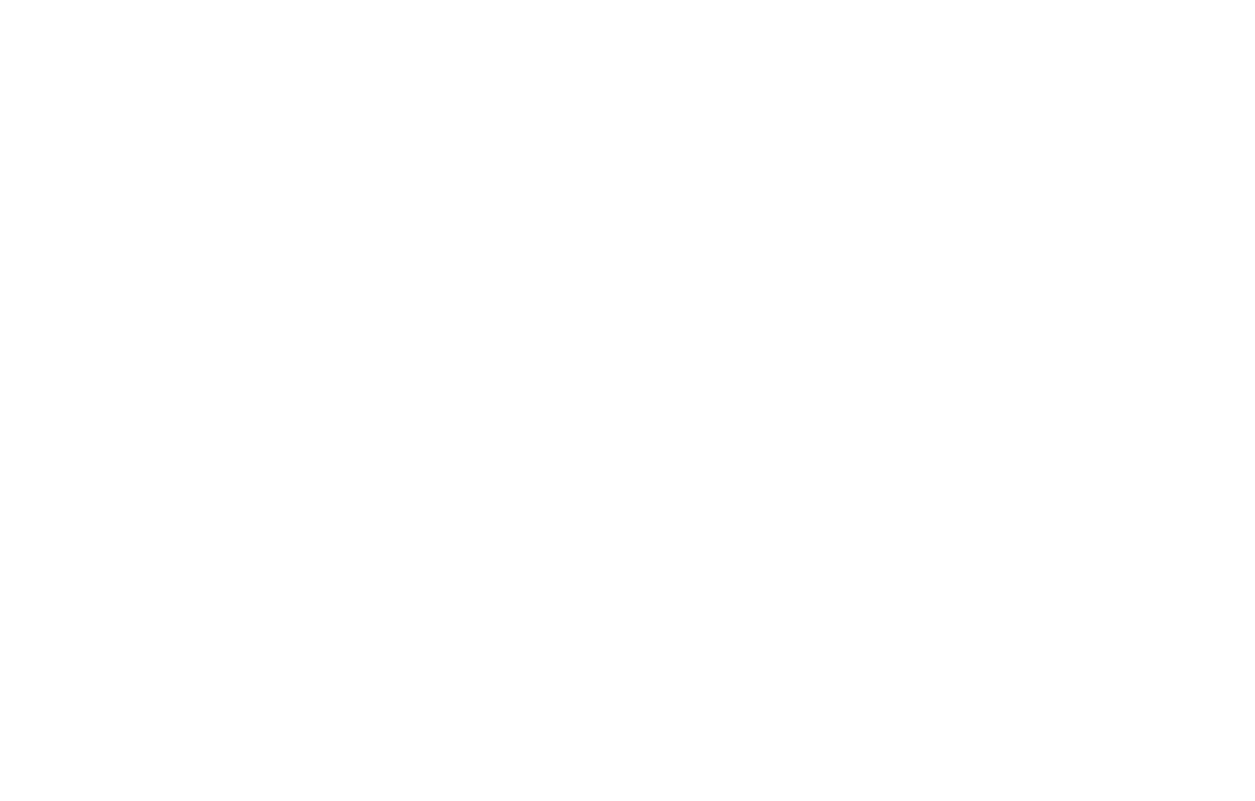 Your Budget Moving White Logo